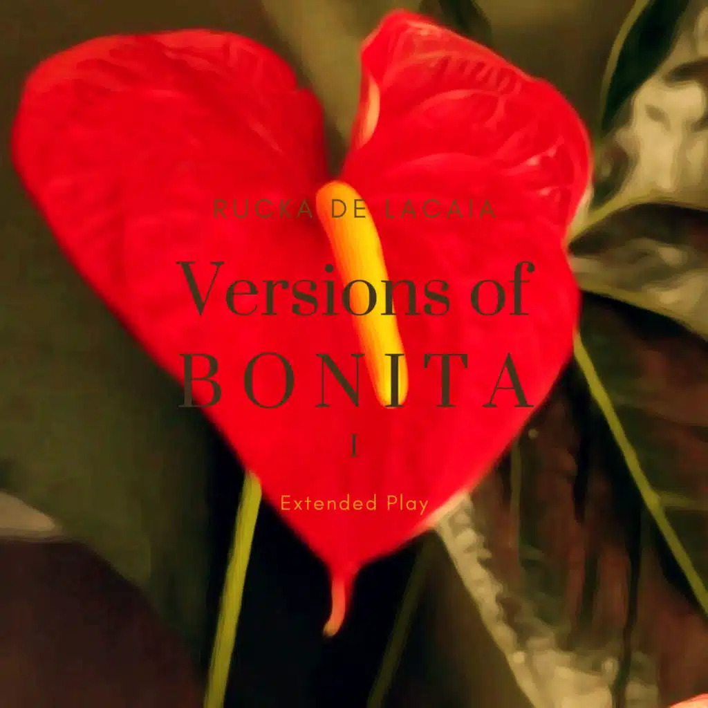 Versions of Bonita I