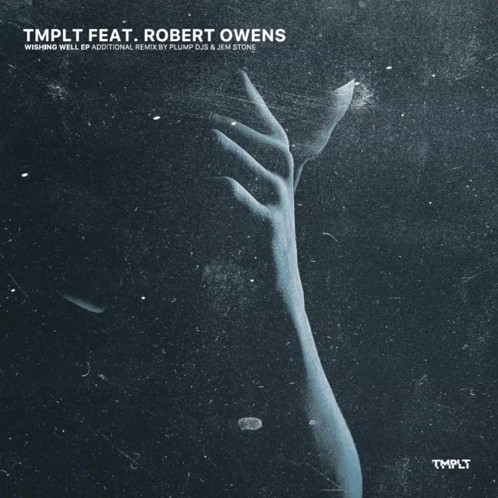 Wishing Well (feat. Robert Owens)