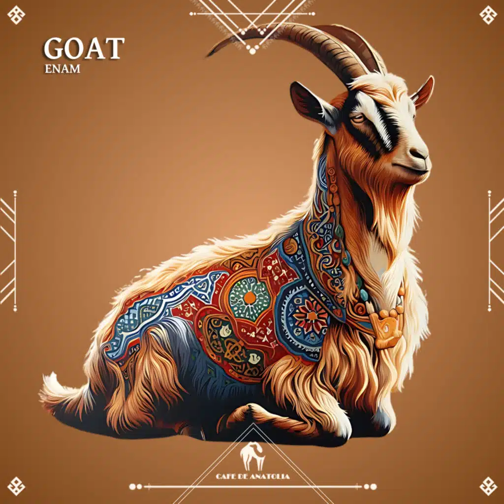 Enam & Cafe De Anatolia