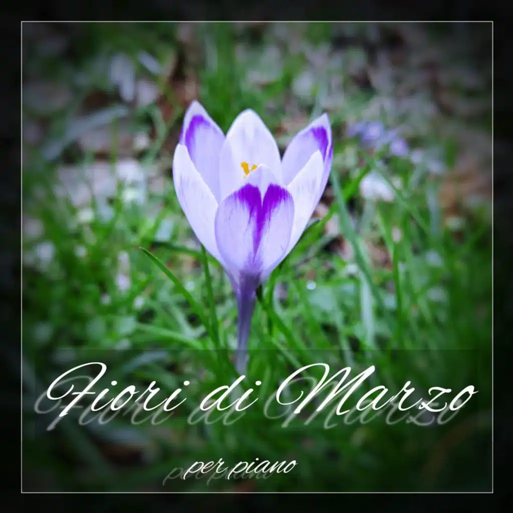 FaDe & Alessio de Franzoni