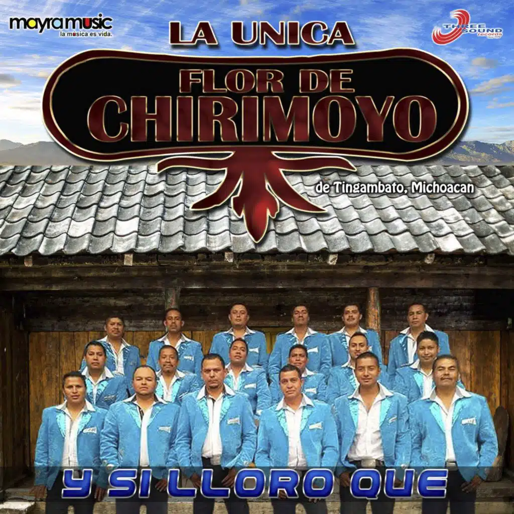 Y Si Lloro ¿Qué?