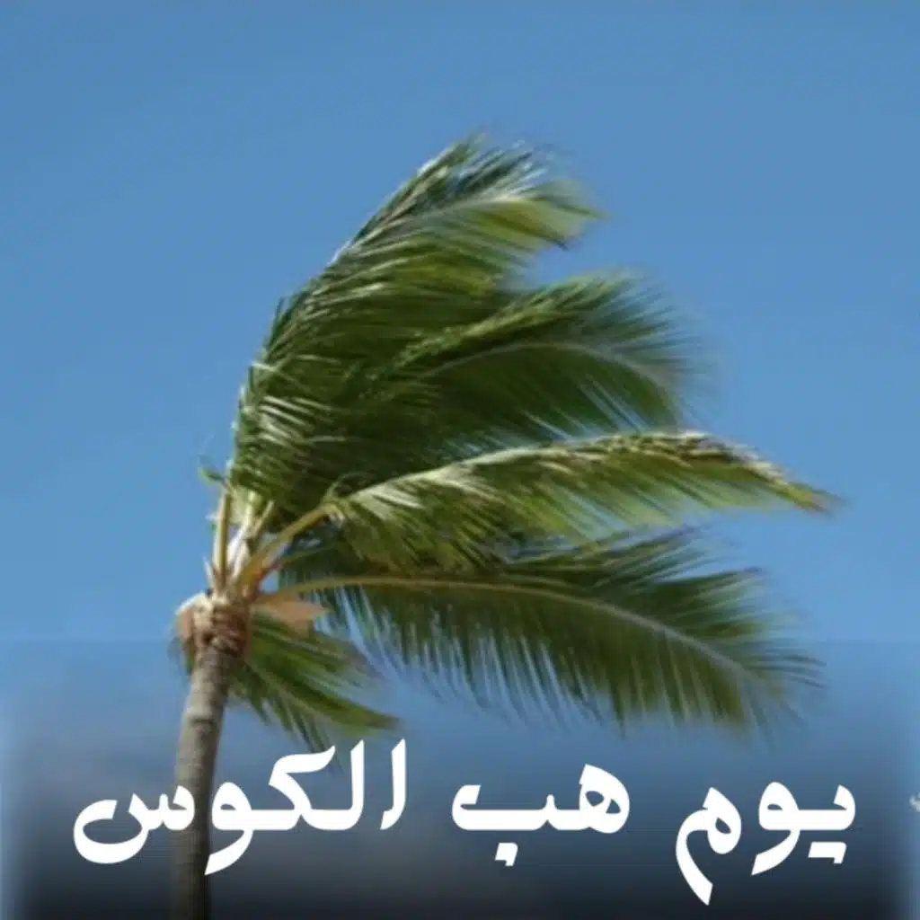 يوم هب الكوس