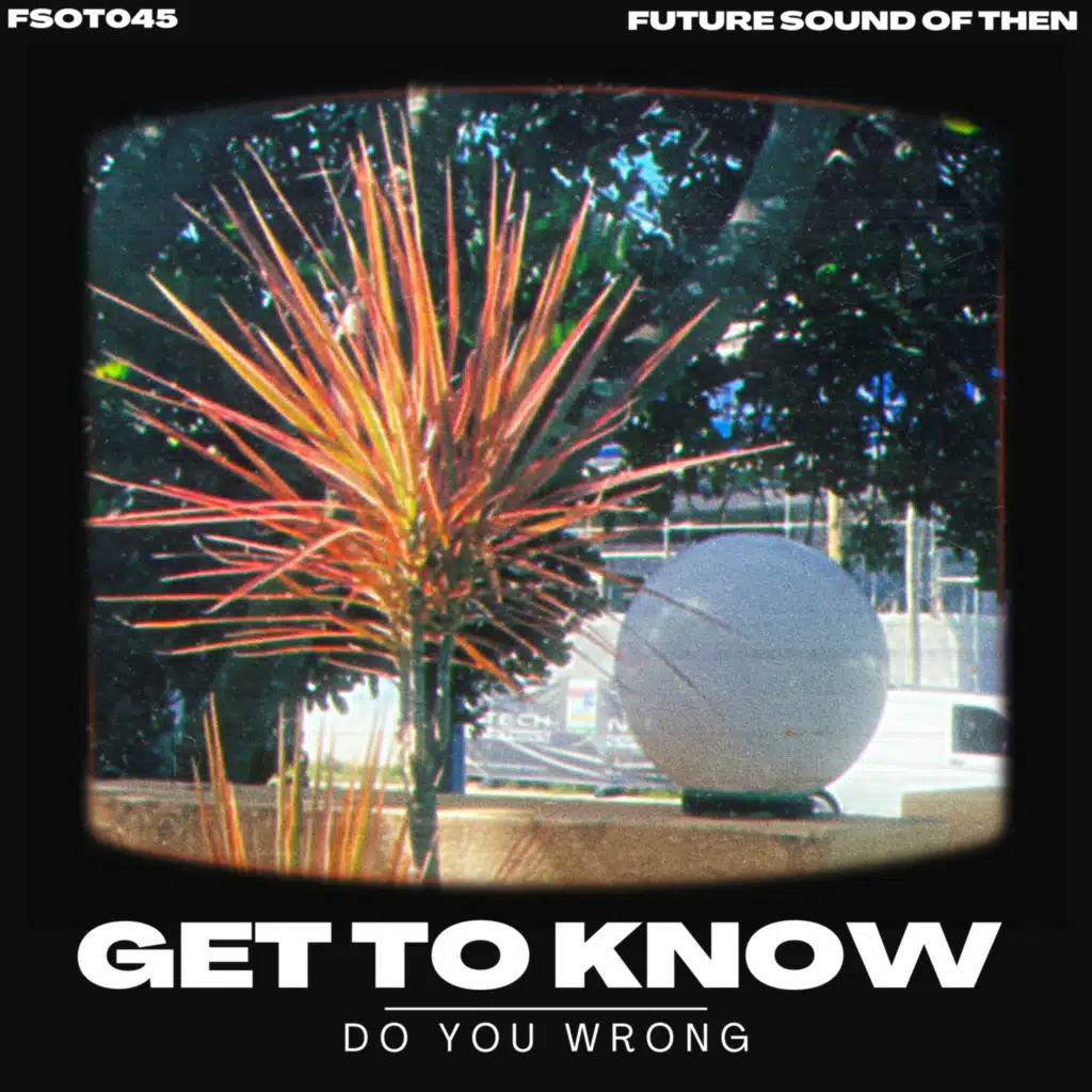 Do You Wrong (Extended)