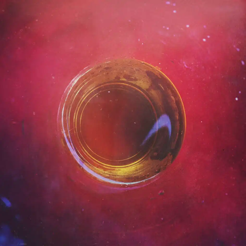 9 Theory, Torii Wolf & xii