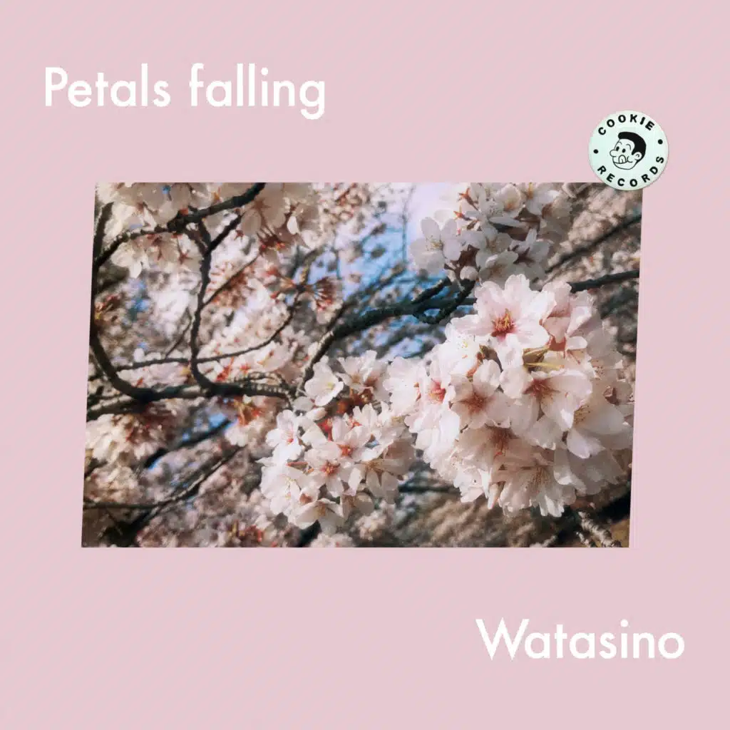Petals falling
