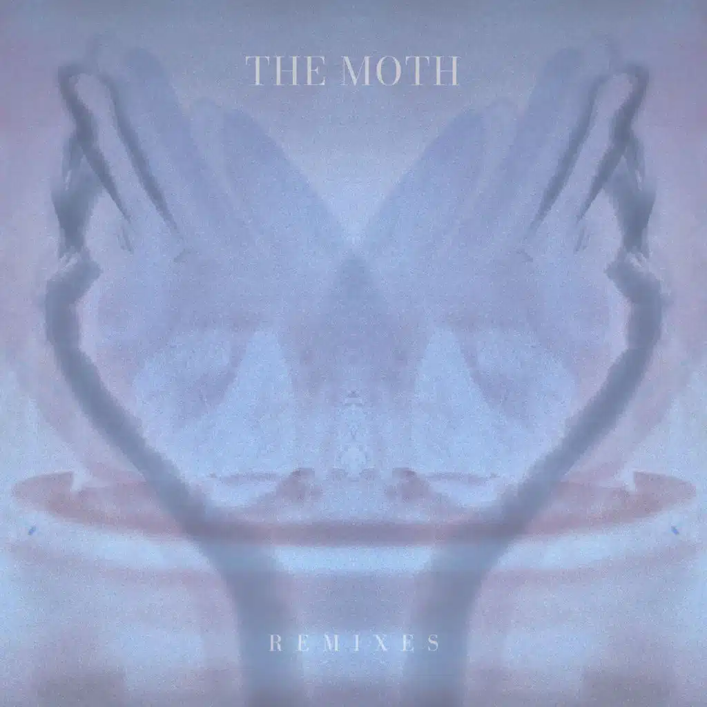 The Moth (Remixes)