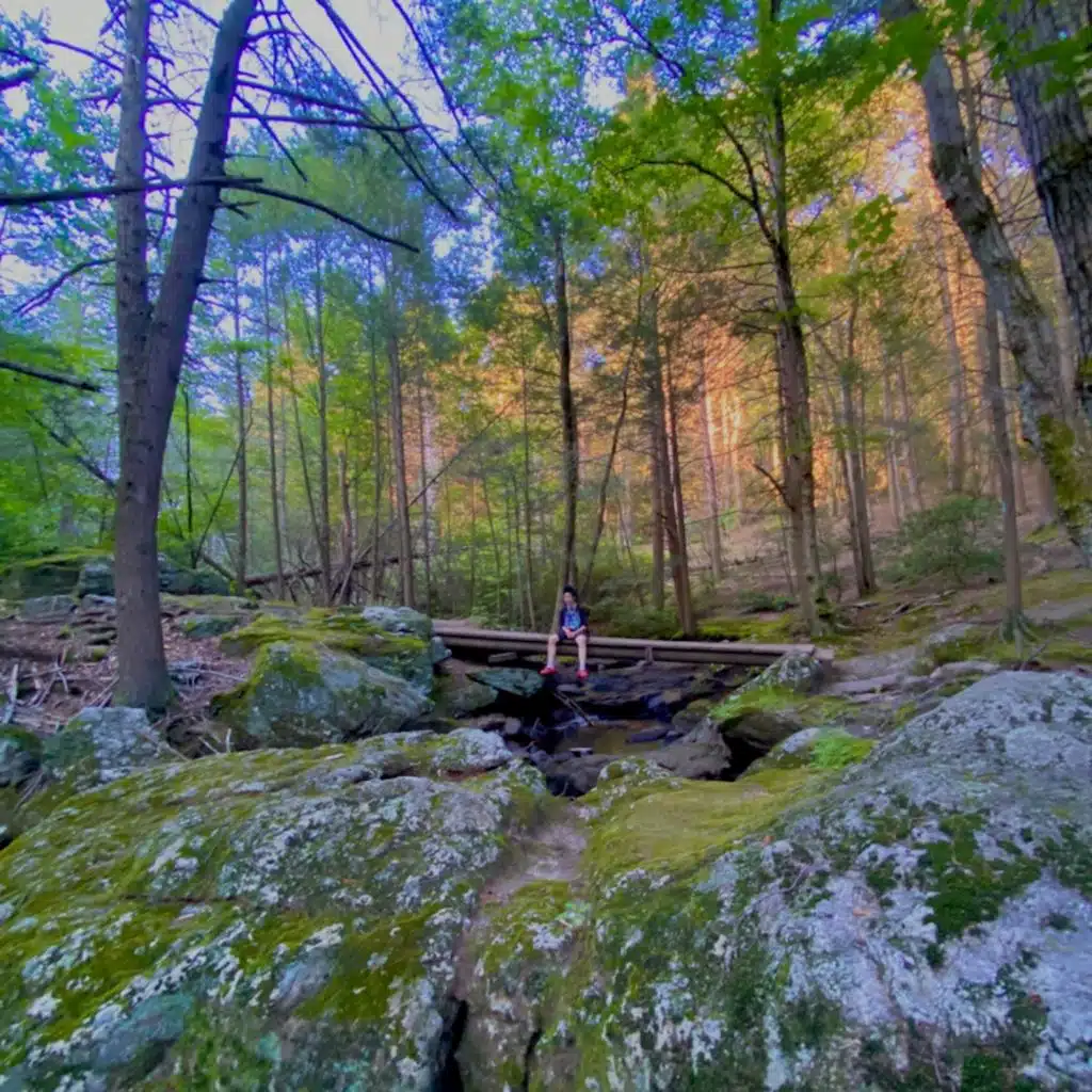 Like I'll Die Tomorrow