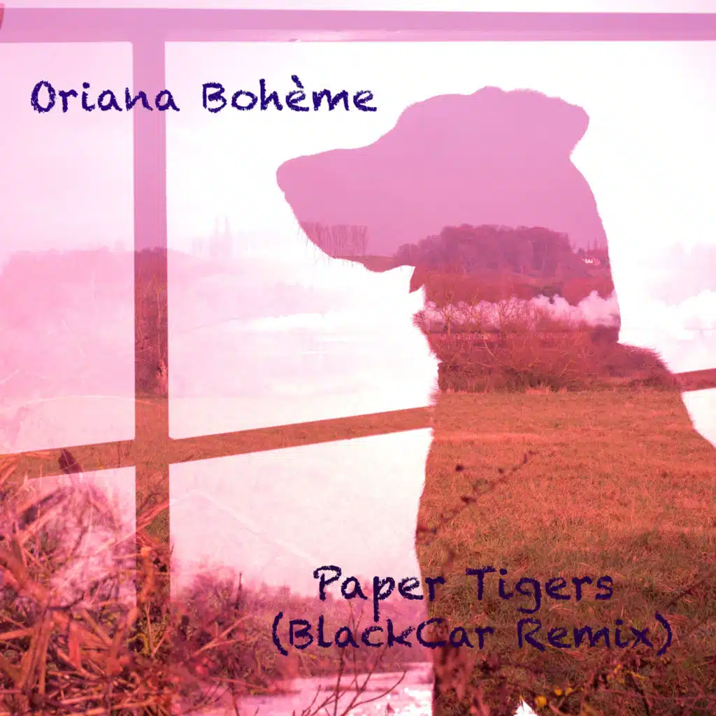 Paper Tigers (BlackCar Remix)