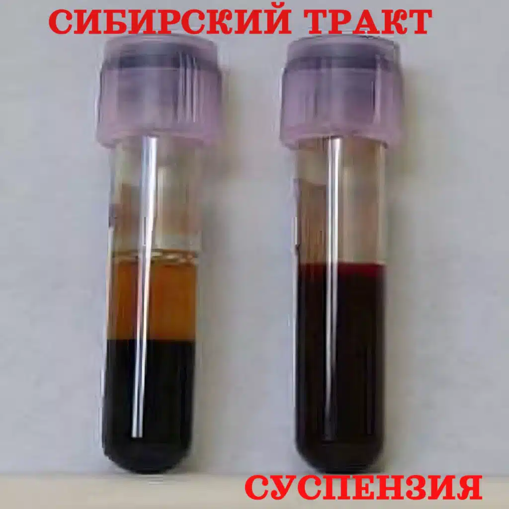 Сибирский тракт