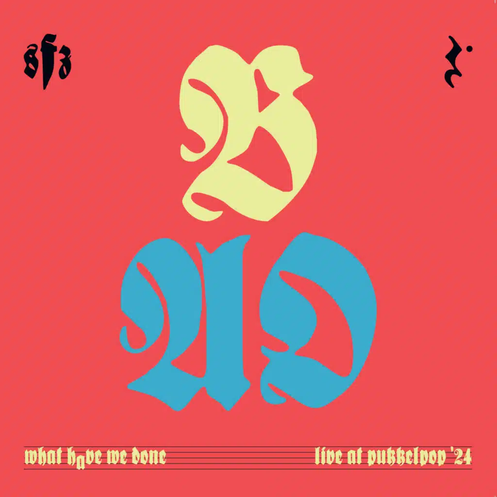 What Have We Done (Live at Pukkelpop)