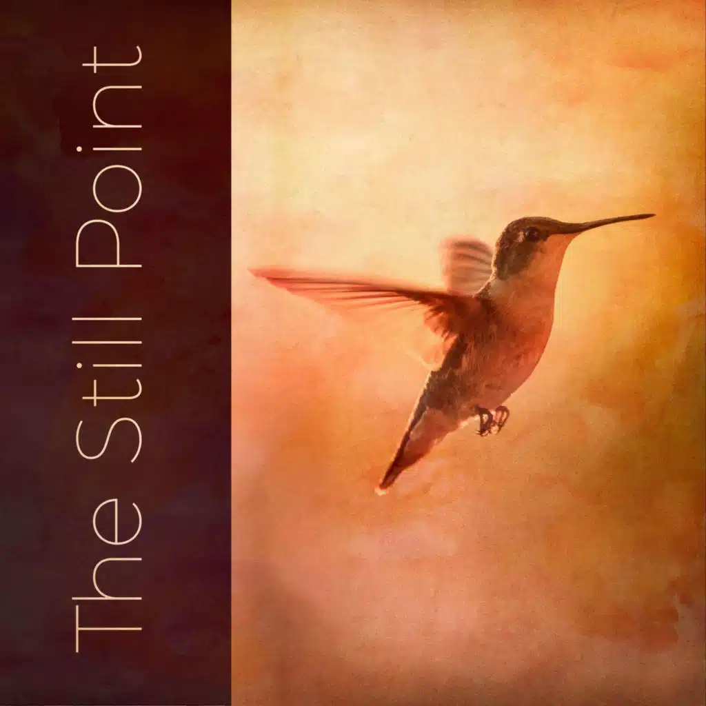 The Still Point