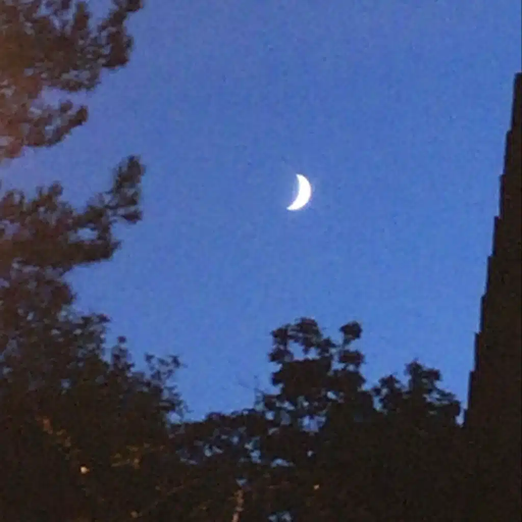 Mvntis & Shiloh Dynasty