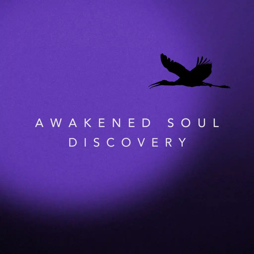 Awakened Soul