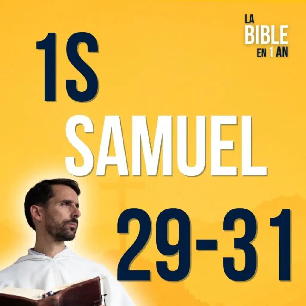 J117 - Saül chancèle, David se relève - matin ☼