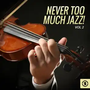 Never Too Much Jazz!, Vol. 2
