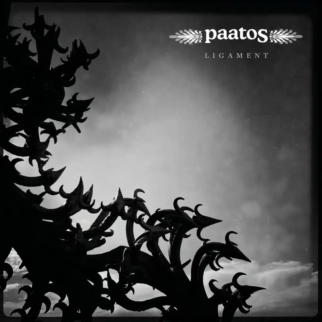 Paatos