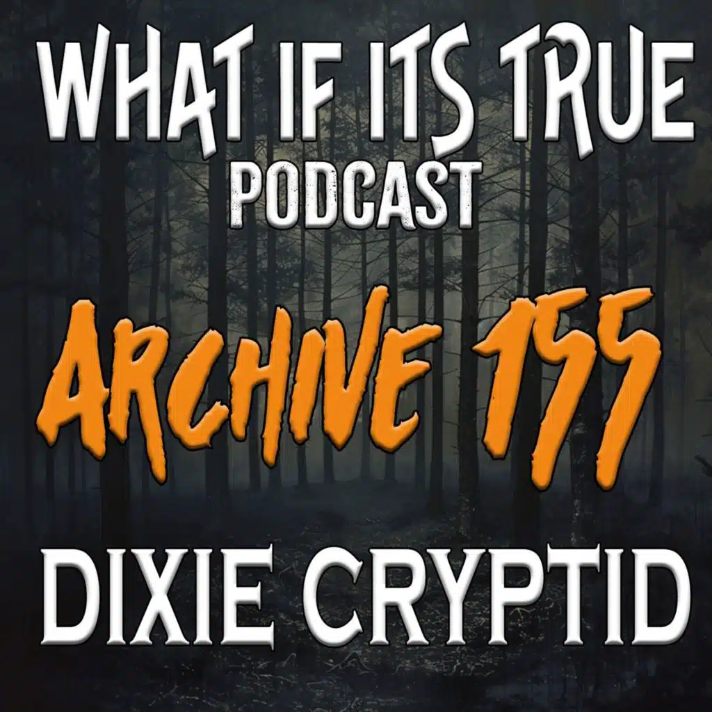 Archive 155 Bigfoot Orbs and Other Strangeness
