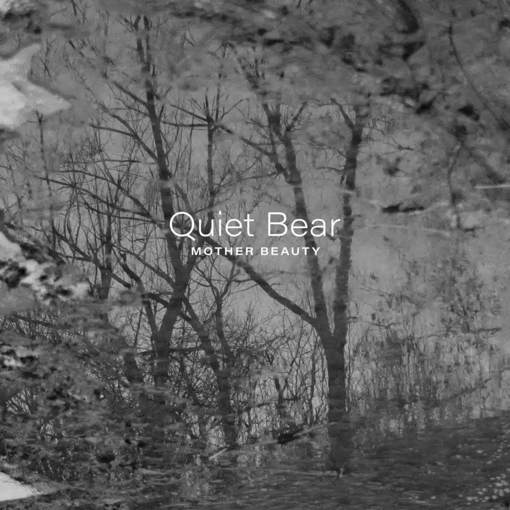 Quiet Bear