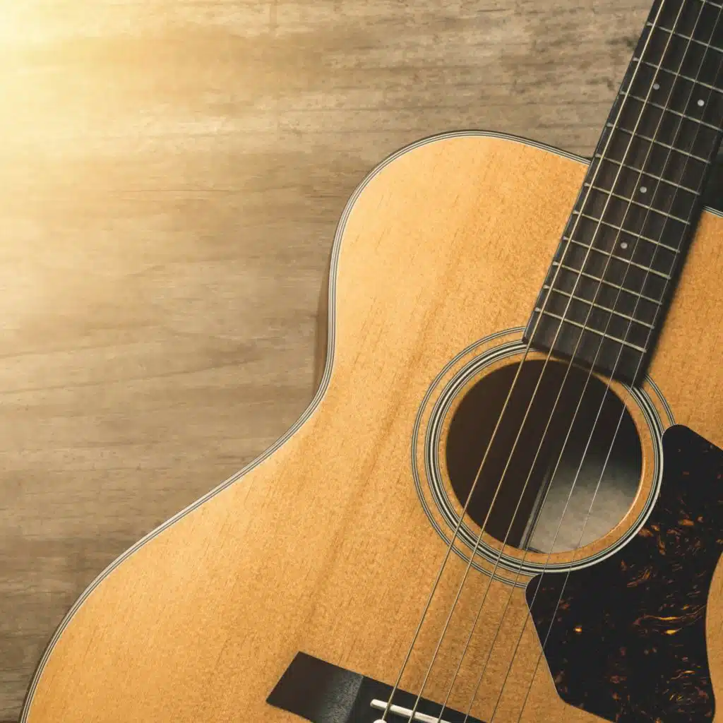 Guitar Music Vibes for Cat Comfort