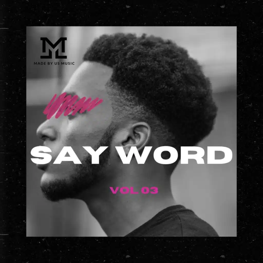 Say Word Hip Hop Vocals Vol 3