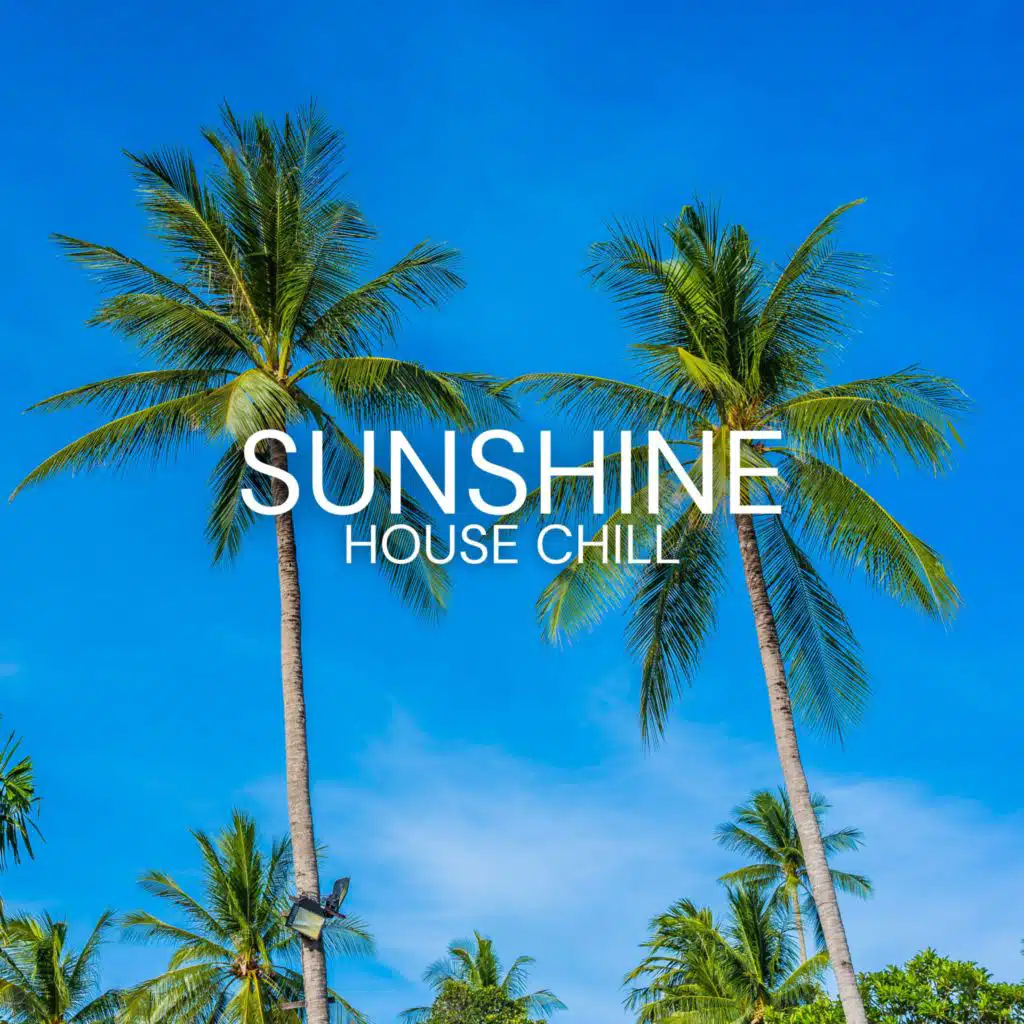 Sun-Kissed Melodies Await