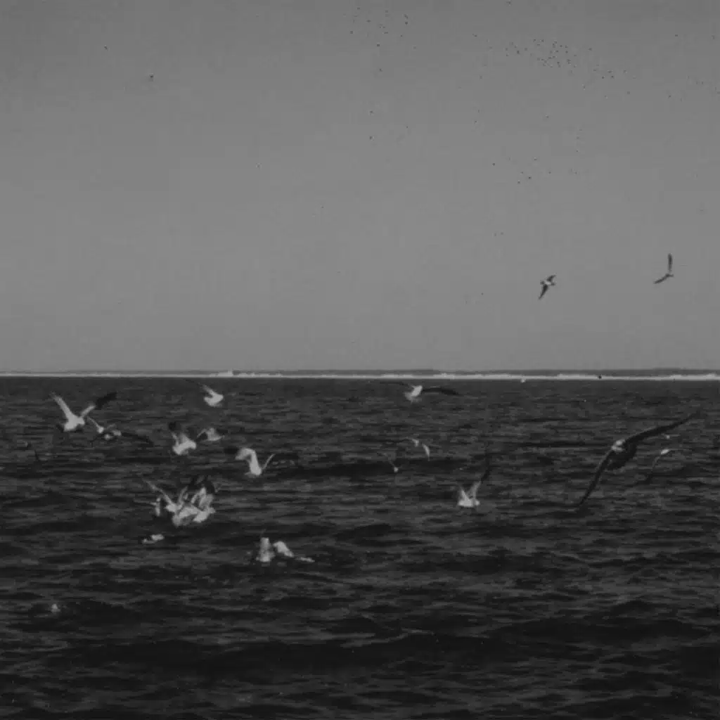 Luna (Moon of Claiming)