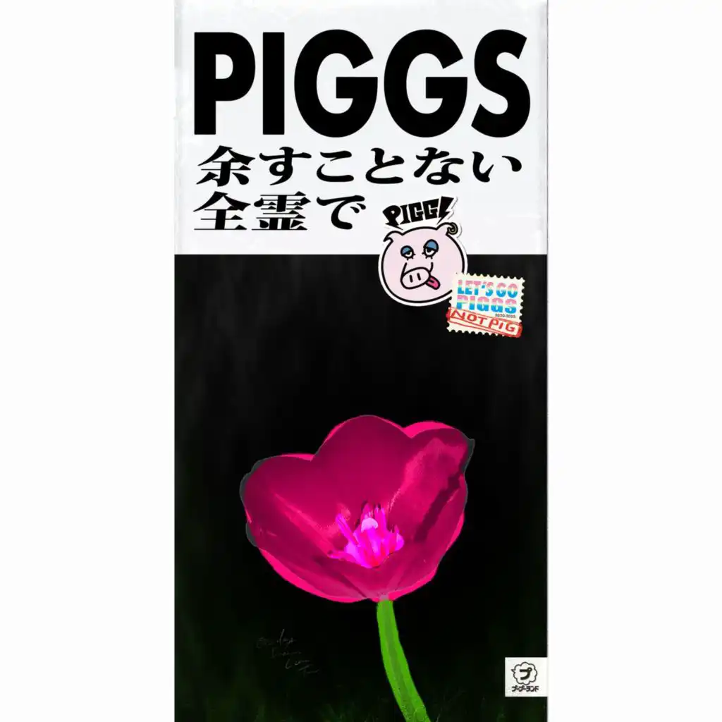 PIGGS