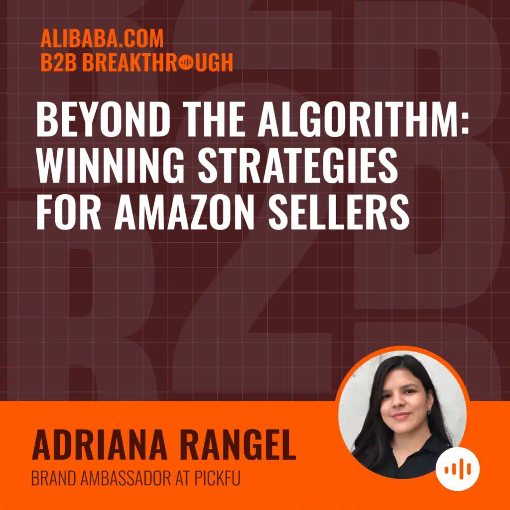 Beyond the Algorithm: Winning Strategies for Amazon Sellers