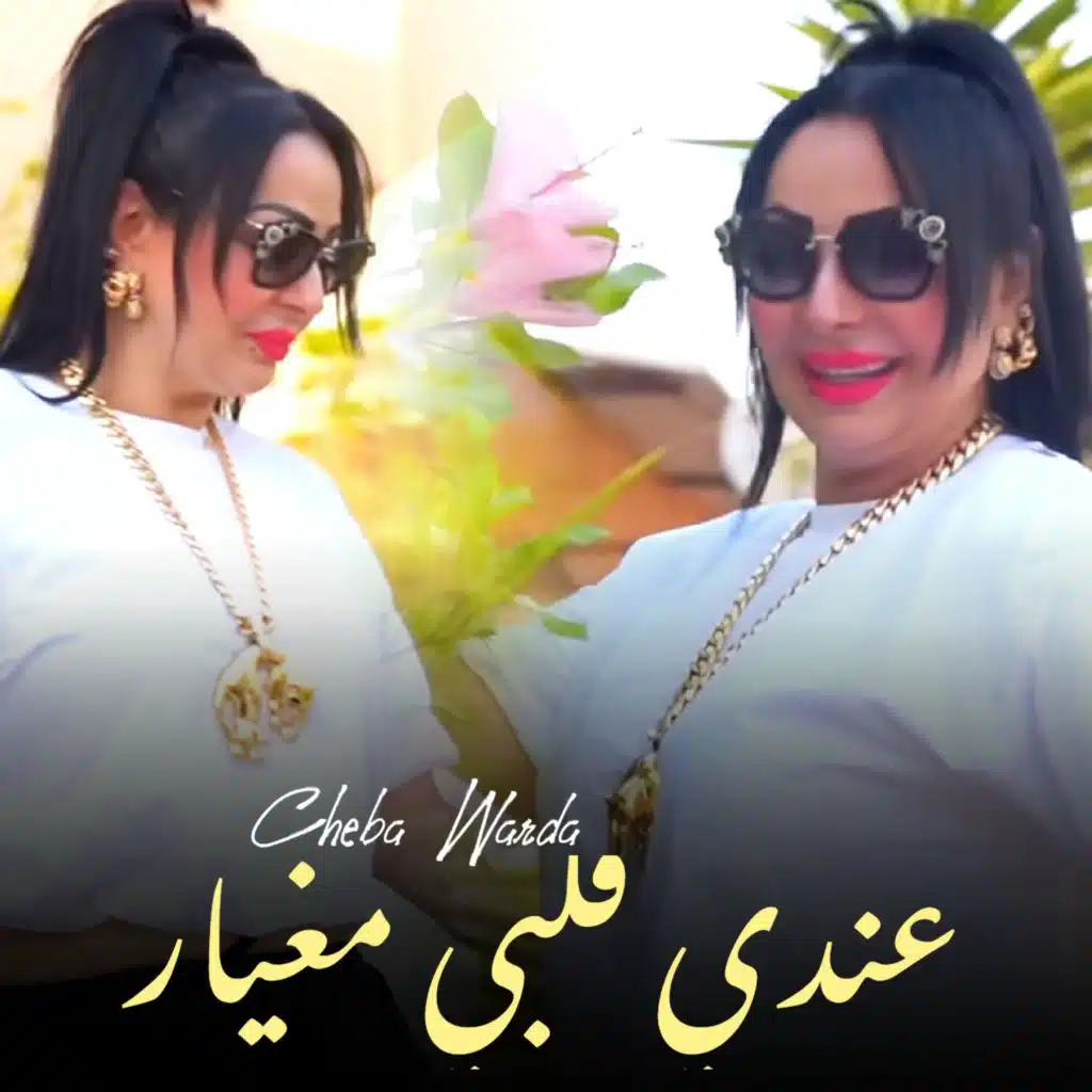 عندي قلبي مغيار