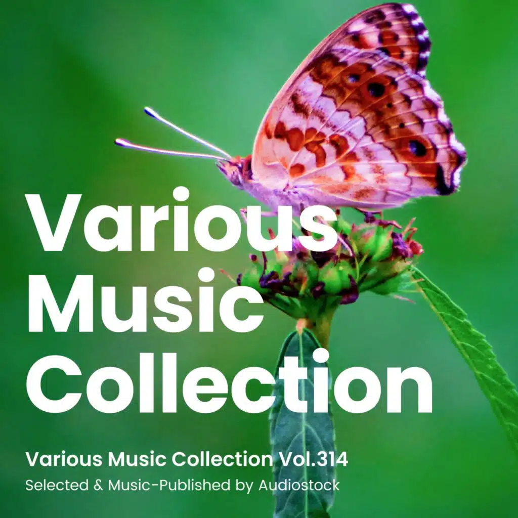 Various Music Collection Vol.314 -Selected & Music-Published by Audiostock-