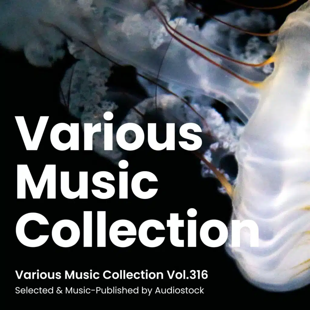 Various Music Collection Vol.316 -Selected & Music-Published by Audiostock-