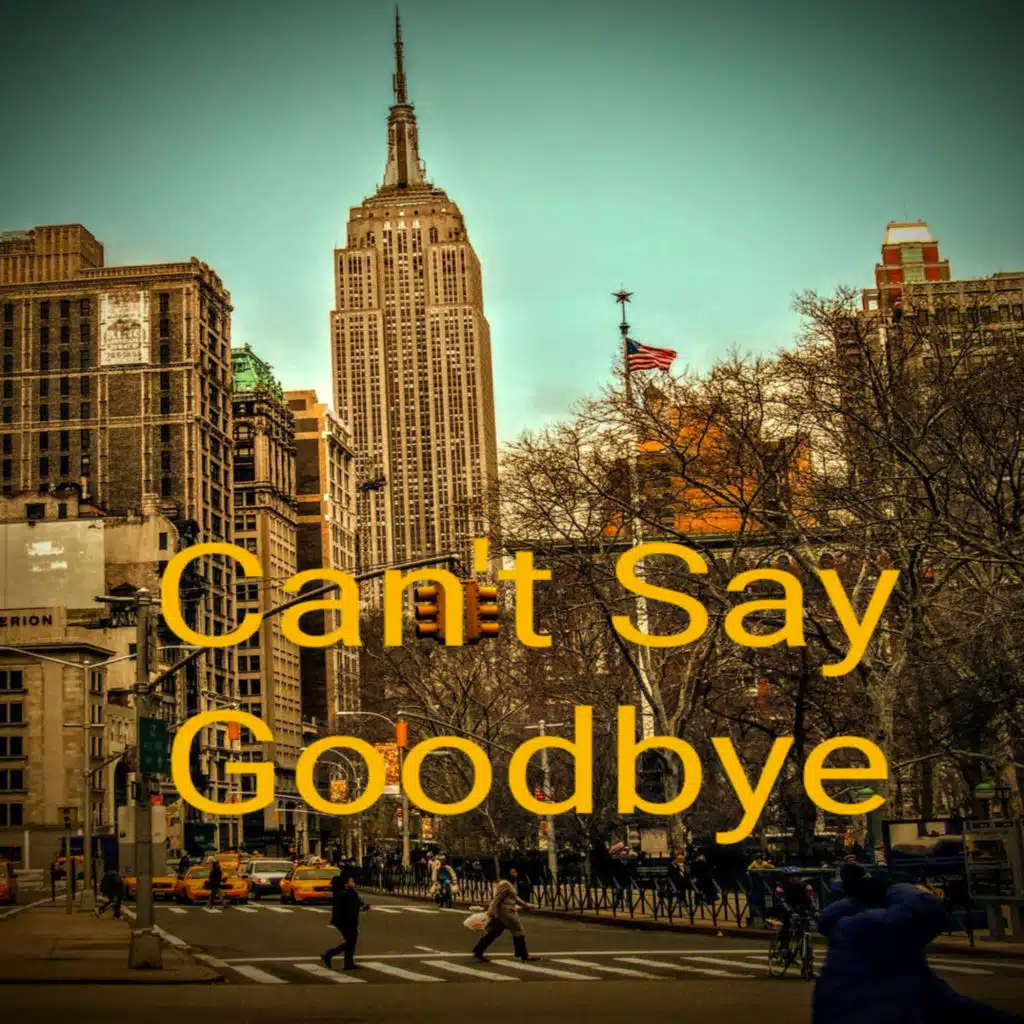 Can't Say Goodbye