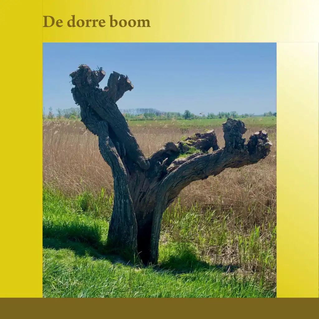 Hoop voor 'n dorre boom