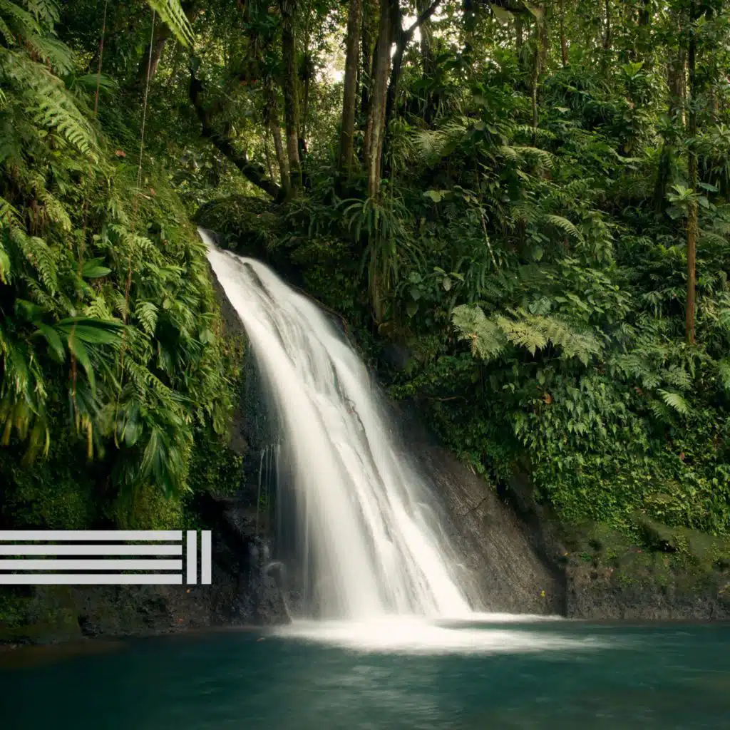 Reserva de Sons Naturais