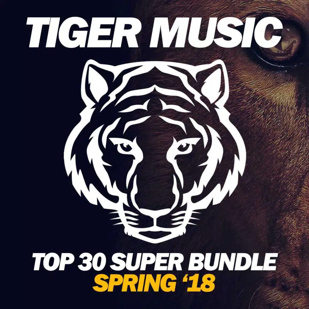 Top 30 Super Bundle (Spring '18)