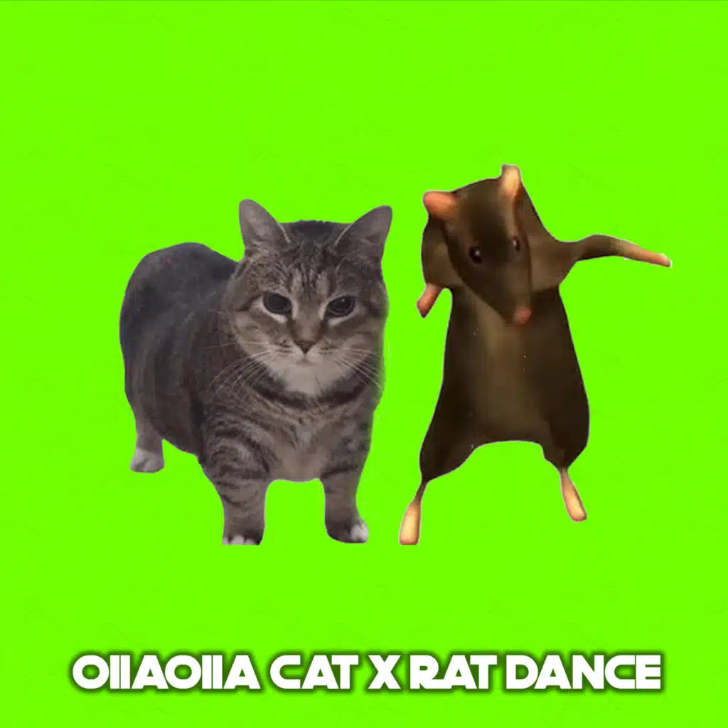 OIIAOIIA CAT x RAT DANCE