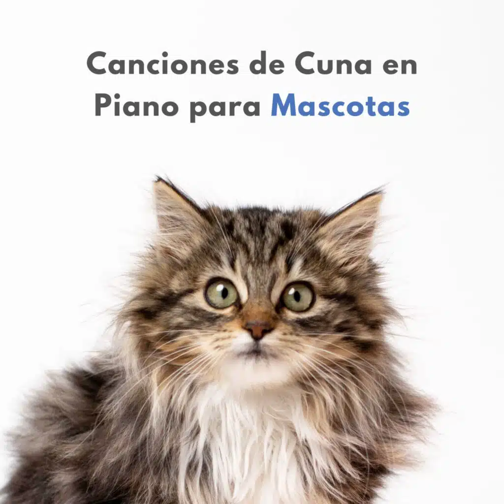 Música para mascotas, Relajamiento Total para las Mascotas & Musicoterapia con mascotas