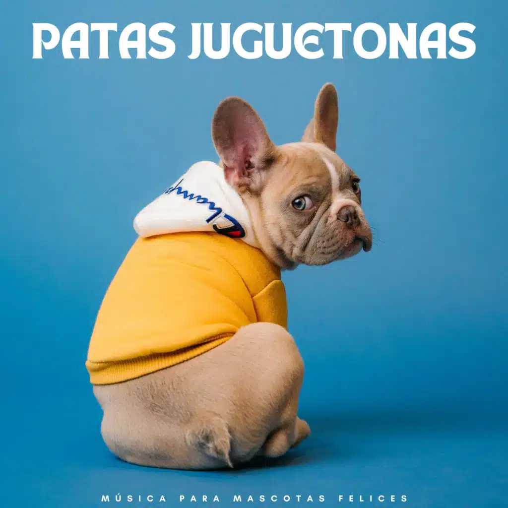 Patas Juguetonas: Música Para Mascotas Felices
