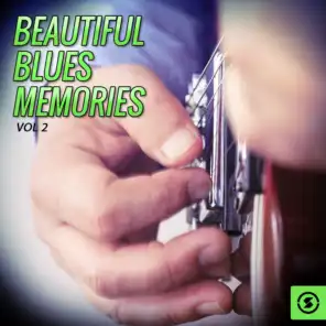 Beautiful Blues Memories, Vol. 2