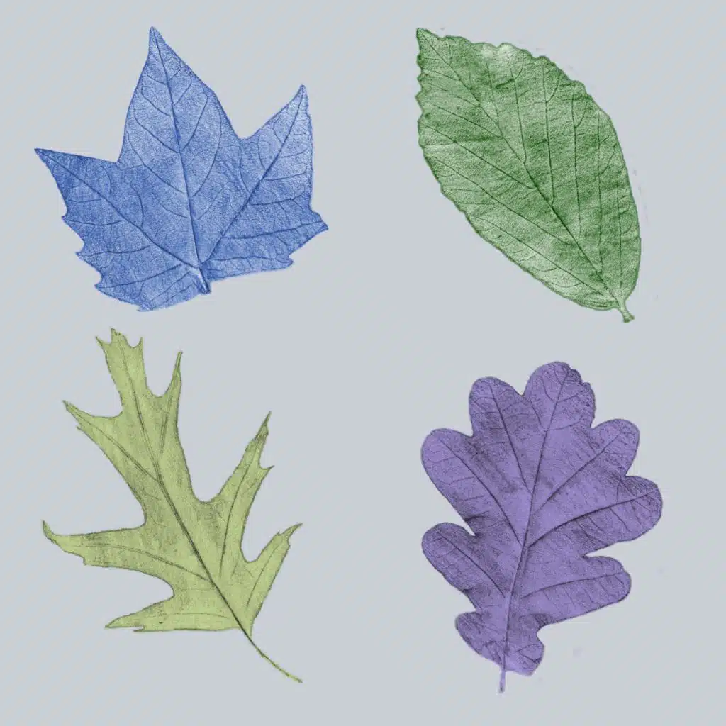 Fallen leaves singles