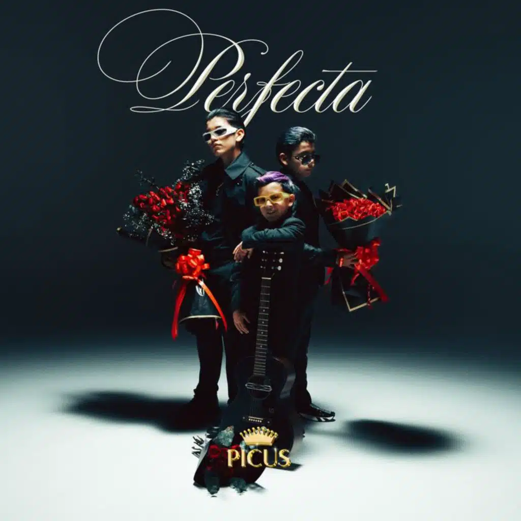 Perfecta