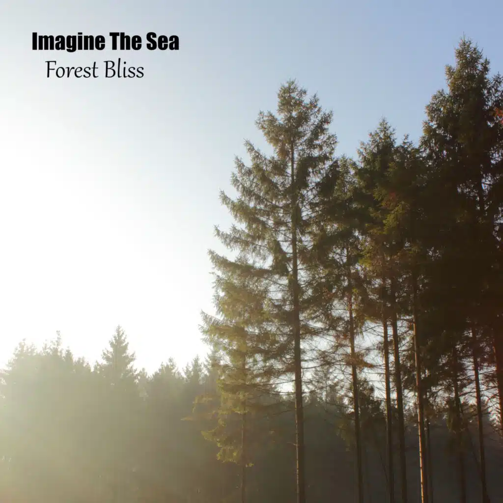 Forest Bliss