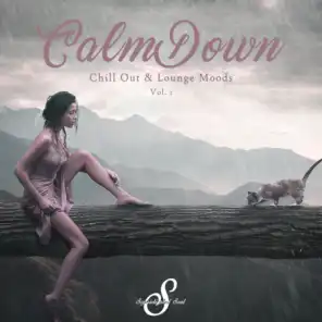 Calm Down (Chill Out & Lounge Moods), Vol. 1