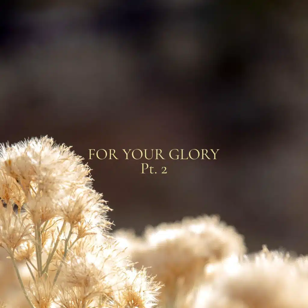 For Your Glory, Pt. 2