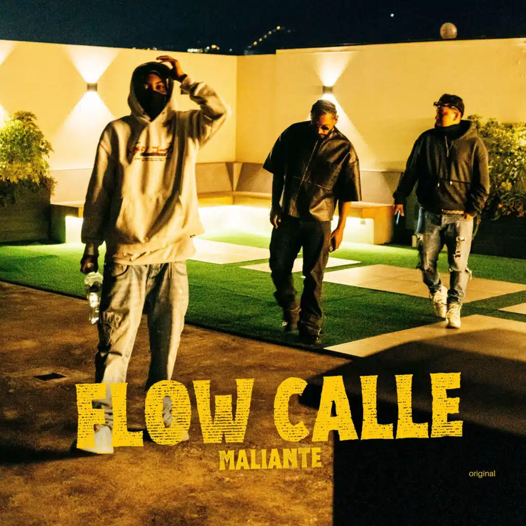 Flow Calle