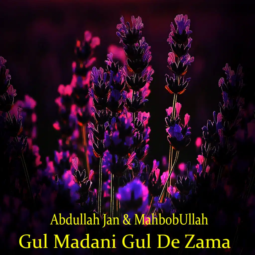 Gul Madani Gul De Zama
