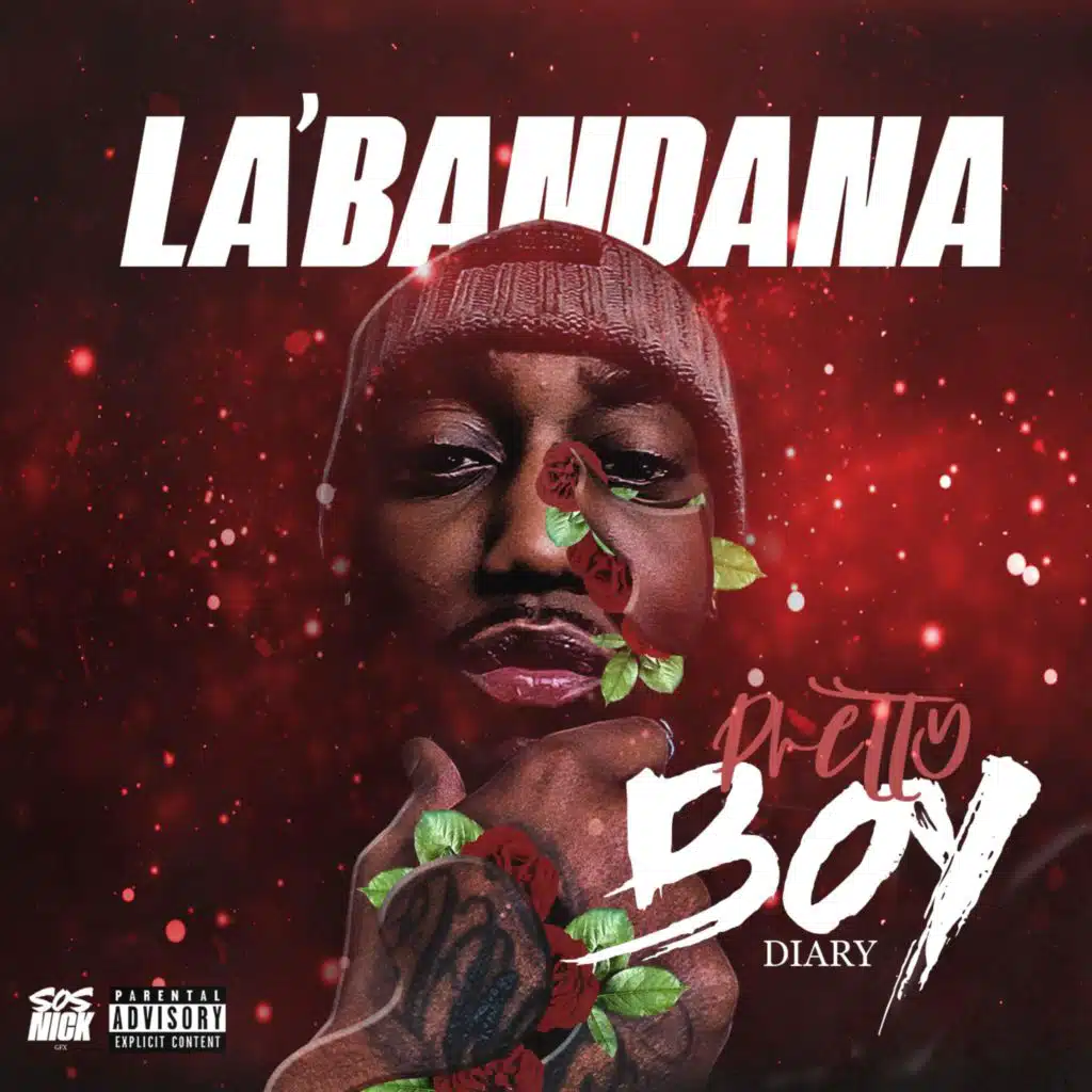 PrettyBoy Diary