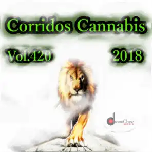 Tamarindo Norteno & Revolver Cannabis