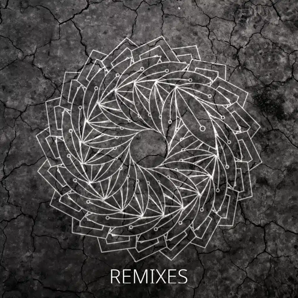 CONCEALMENT (Remixes)