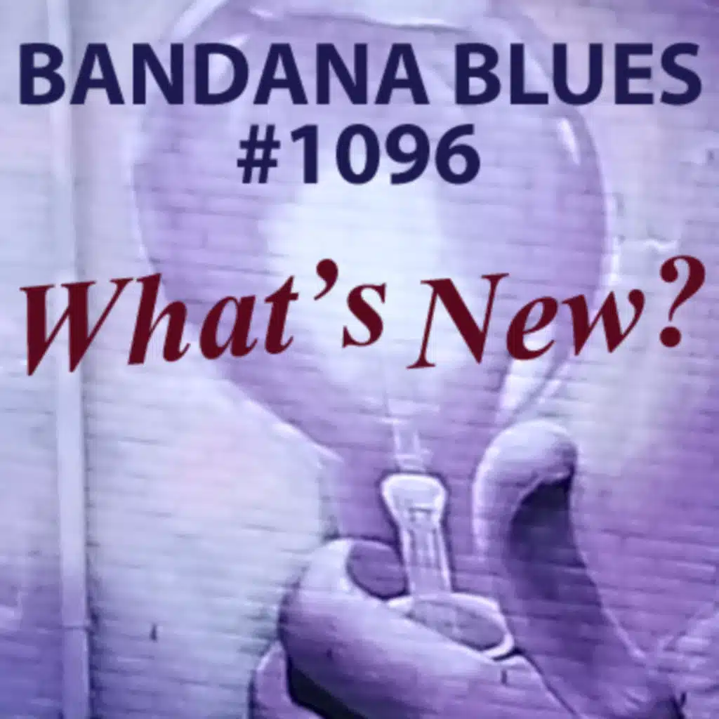 Bandana Blues #1096 - What's New?